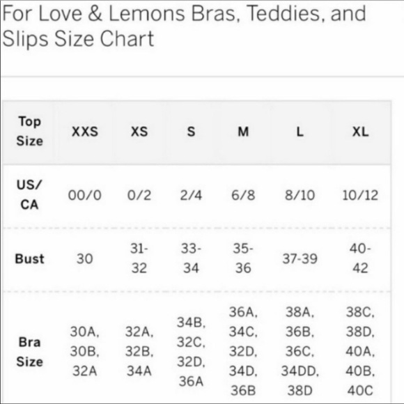 2PC For Love & Lemons Foil Rose Bustier Set - Picture 6 of 7